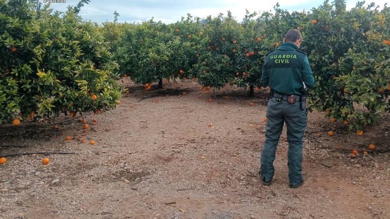 Un agente del Seprona en la finca donde se halló en veneno. Foto: Guardia Civil