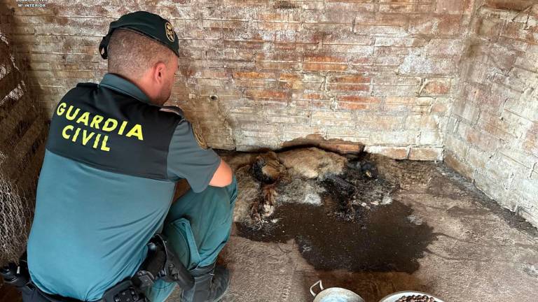 Una de las imágenes de la finca de Terres de l’Ebre. Foto: Guardia Civil