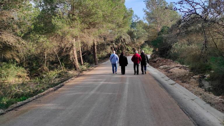 El camino pasa por un entono natural.