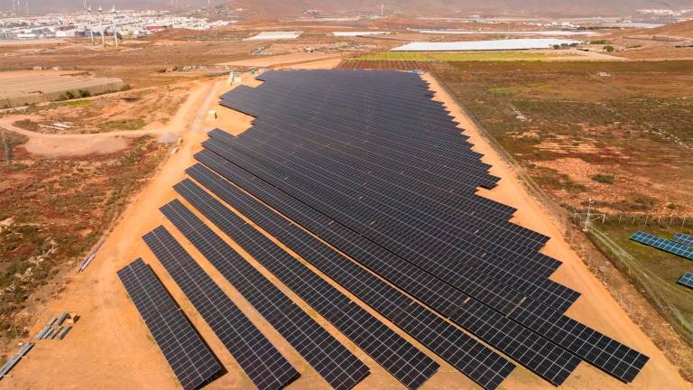 Una planta fotovoltaica en una imatge d’arxiu. Foto: ACN