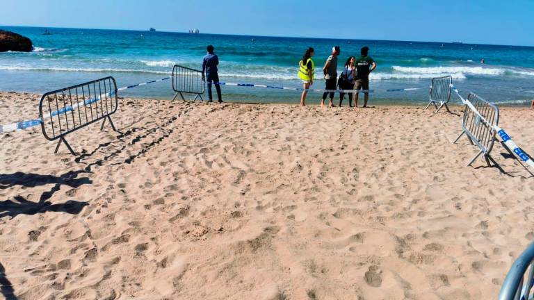 $!Balizan parte de una playa de Tarragona por una posible puesta de huevos de una tortuga marina