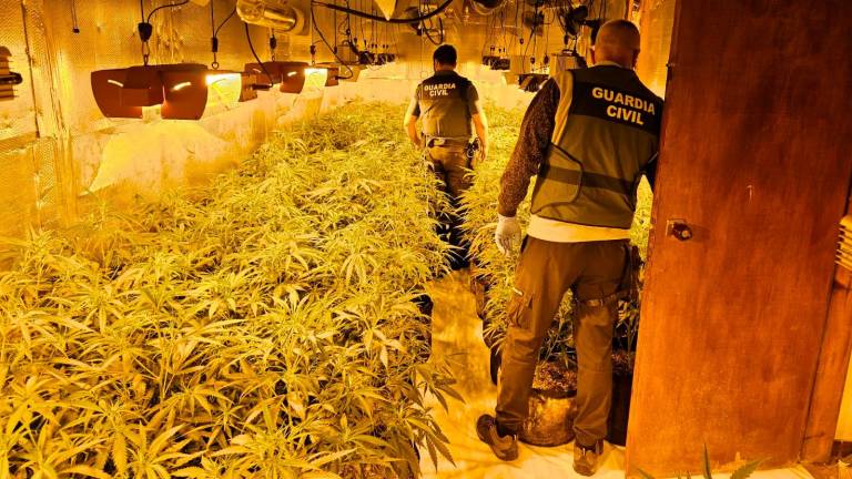 Agentes de la Guardia Civil de Tarragona intervienen una plantación de marihuana en un inmueble. Foto: Guardia Civil