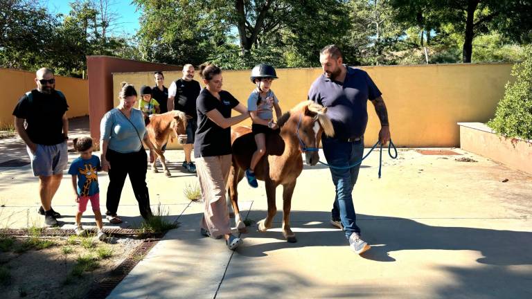 Los niños interactuaron con los animales y se sintieron confiados junto a ellos. FOTO: L. F.