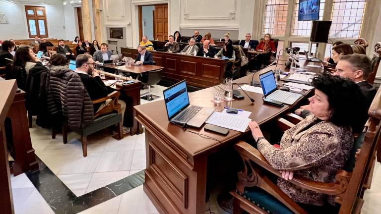 Un instante del pleno extraordinario que se celebró ayer, que será el último de este año 2023. Foto: Alfredo González