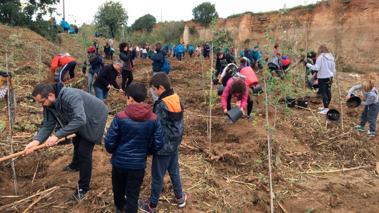 $!La Canonja organitza una plantada popular a la Riera de la Boella