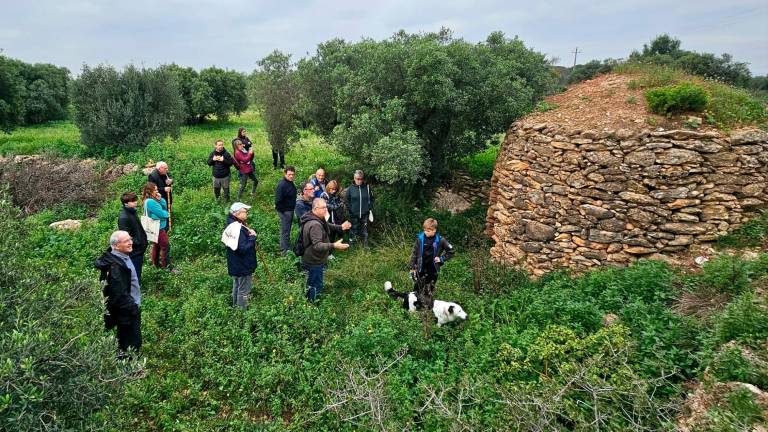 $!El Baix Penedès reivindica la ‘pedra seca’ reconstruyendo márgenes y barracas