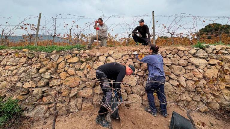 $!El margen de piedra en el camino de Albinyana a Les Peces.