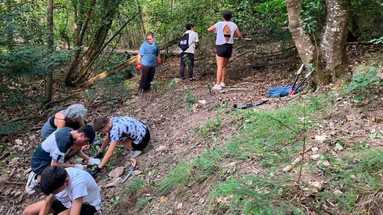 Infants observant la biodiversitat que es pot trobar en una zona arbrada. foto: cedida