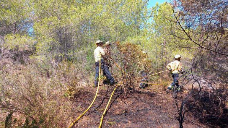 Los bomberos durante la extinción del incendio de Vespella. Fotos: Bombers