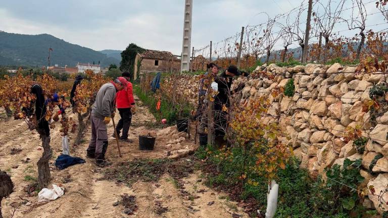 Un grupo de vecinos reconstruyó un margen de piedra en Albinyana.