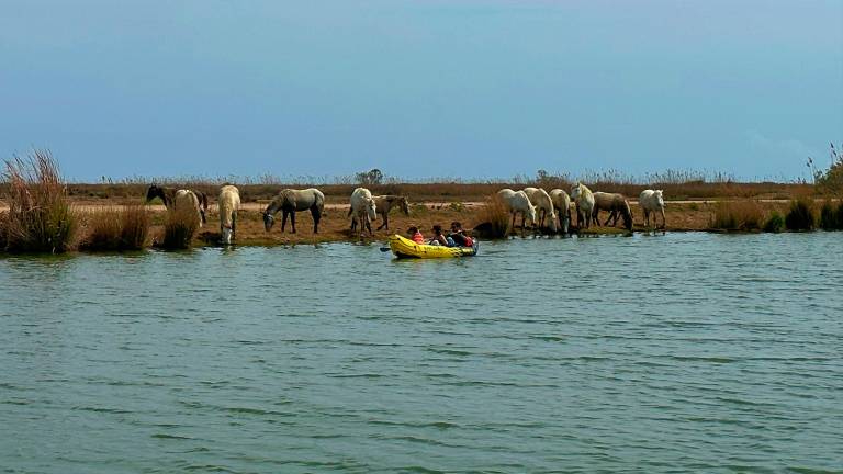 En el trayecto podemos encontrar caballos salvajes. FOTO: CEDIDA