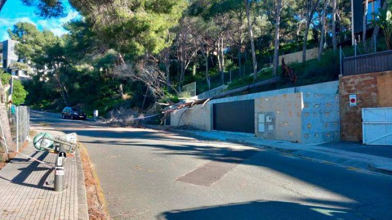 La calle Conca de Barberà, en La Móra, con un árbol y una farola tumbados por el viento. Foto: Bombers