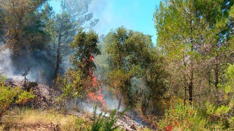 Incendio de hoy en Tivissa. Foto: Bombers