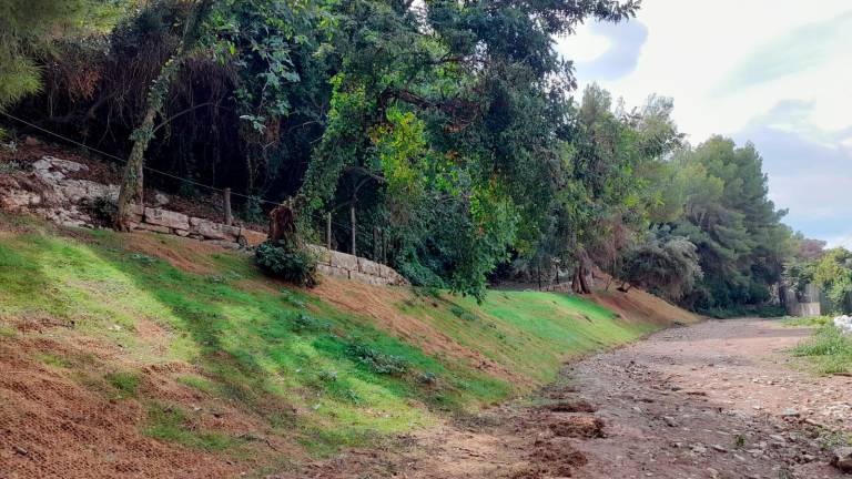 $!El torrente puede ser un corredor natural para los vecinos