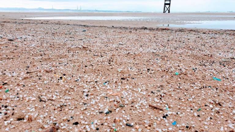 $!La playa de La Pineda cubierta de pellets de plástico. Foto: Good Karma Projects.
