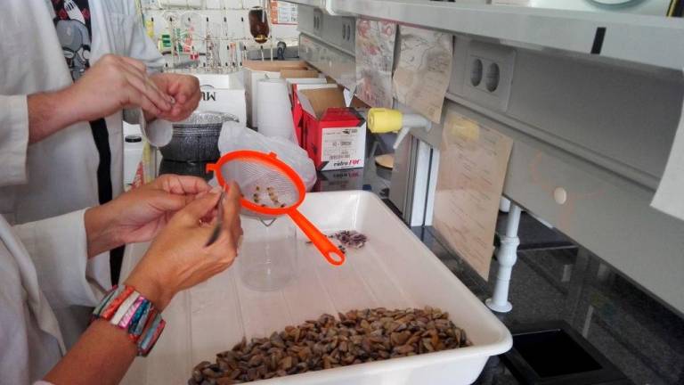 Miembros del grupo de investigación durante la recogida de muestras de microplásticos. Foto: Cedida