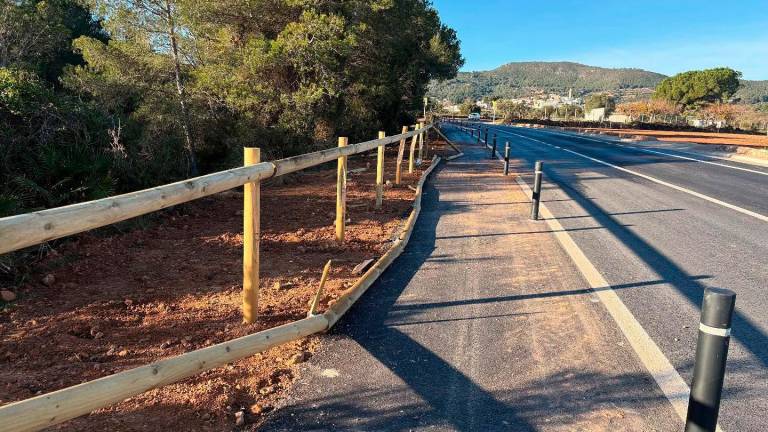 $!Los daños causados en la valle del carril peatonal.