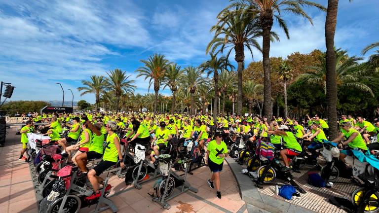 El paseo de las Palmeres, punto neurálgico de la Pedals. foto: MCG