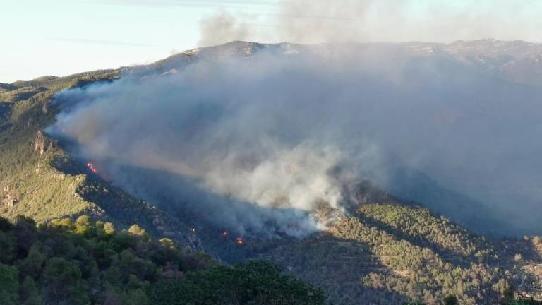 El fuego de Cabacés estaba cerca de la carretera T-702, que se ha cortado al tráfico. Foto: Àngel Juanpere