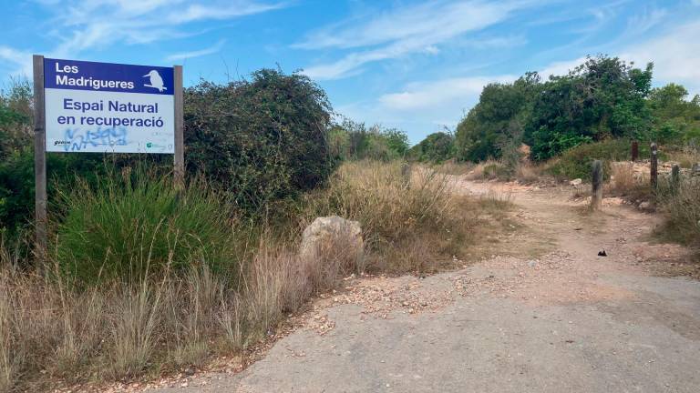 $!El camino trasero de la zona de Les Madrigueres, lleno de garrapatas