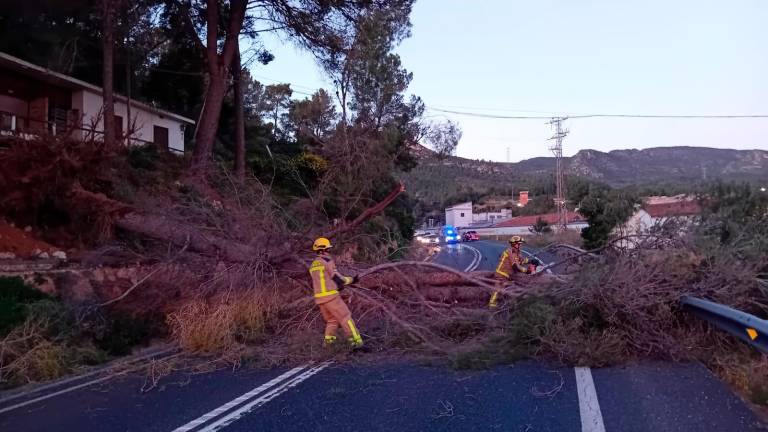 $!Reabierta la carretera C-14 en Alcover