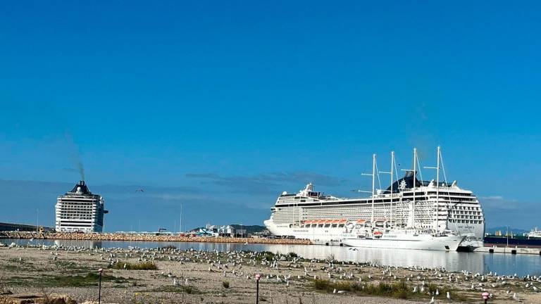 En el Moll de Balears y la nueva terminal de cruceros pueden operar hasta tres barcos de forma simultánea. Foto: Port Tarragona