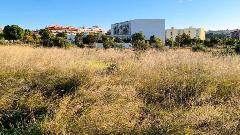 El terreno donde estará la nueva sede del Consell Comarcal del Baix Penedès.