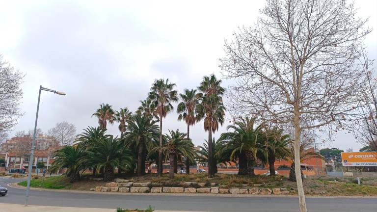 Rotonda de l’Avinguda de Riudoms de Reus. Foto: Cedida