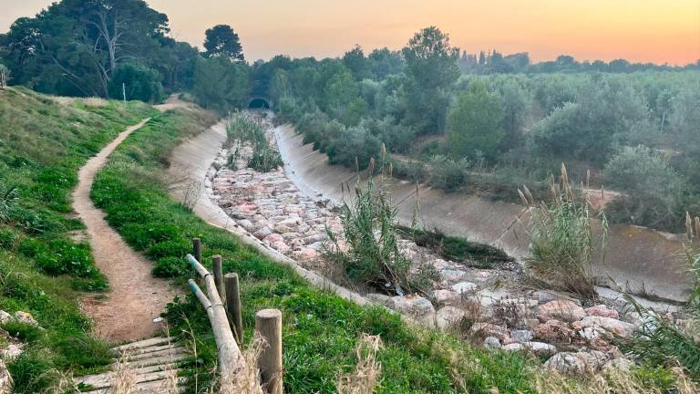 El barranc del Pedret, afectat pels aiguats del 2019, va reparar-se i reforçar-se fa un parell d’anys. Foto: Alfredo González