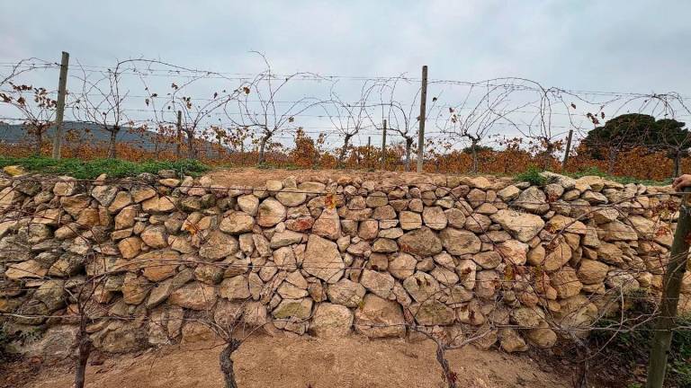 $!La piedra seca forma parte del paisaje agrícola del Baix Penedès.