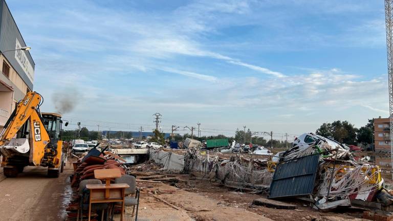 Imágenes tomadas por la expedición durante su estancia en la zona afectada. Fotos: cedidas