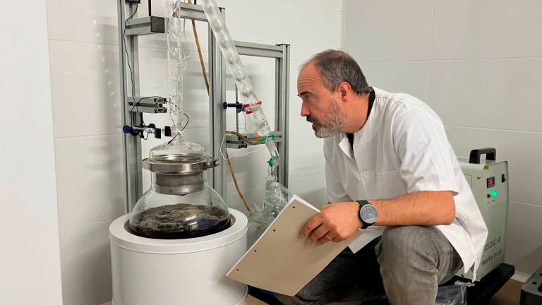 Josep Guasch controla la elaboración del gin del Penedès. FOTO: JMB