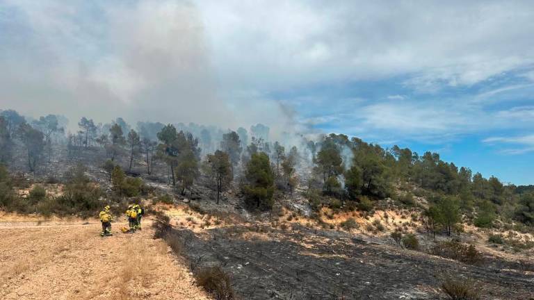 Zona cremada a l’incendi de Batea. Foto: Bombers de la Generalitat