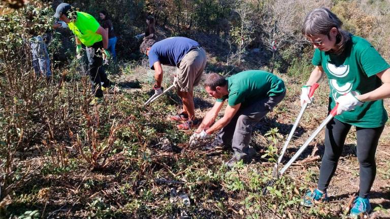 Diferents voluntaris treballant en un dels camins que estan arranjant aquests dies. foto: cedida