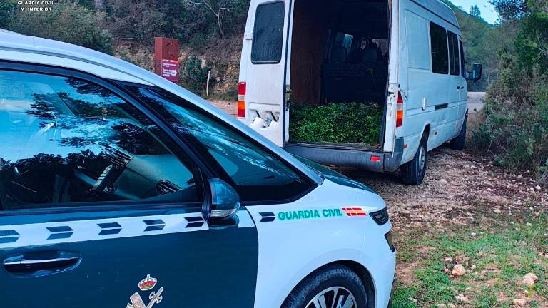 Imagen de la furgoneta con las plantas de lentisco en su interior. Foto: Guardia Civil