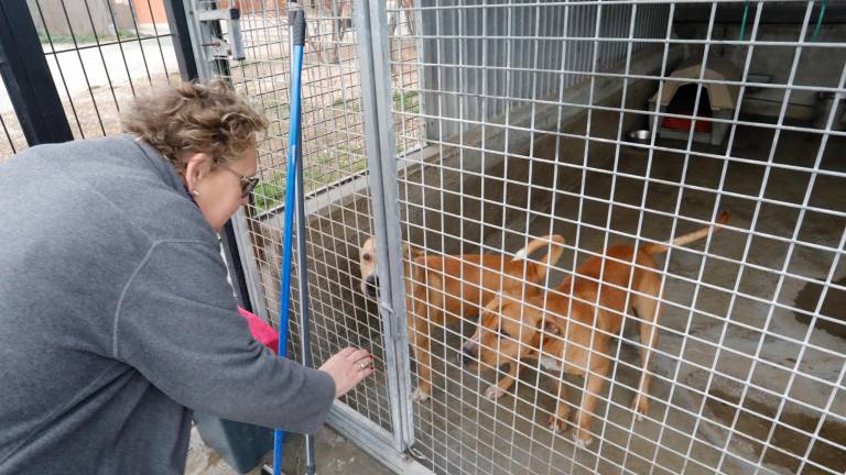 La presidenta de la Protectora d’Animals i Plantes de Tarragona, Núria Güell. Foto: Pere Ferré