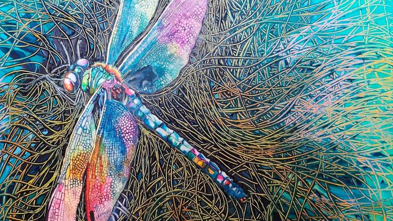 $!Una libélula representa la trayectoria de Maria Sibylla Merian, precursora de la entomología moderna e ilustradora científica. FOTO: CEDIDA