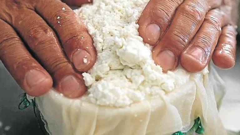 Los quesos de ‘La Vall del Brugent’, de leche de cabra, también tienen protagonismo en esta iniciativa. foto: javier corso/national geographic