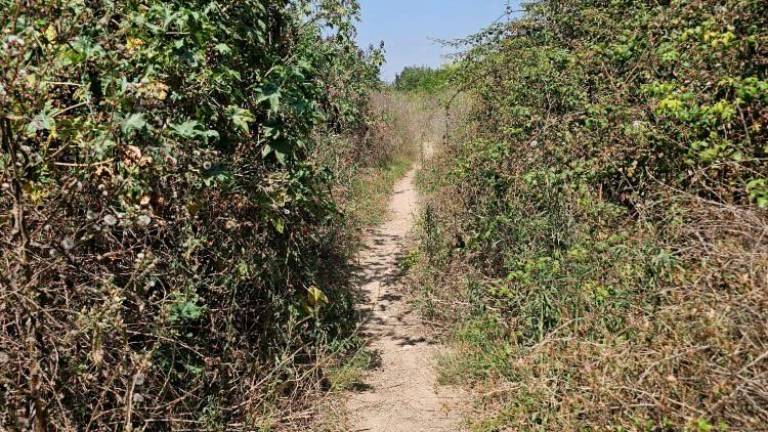 $!De histórico camino a vía de garrapatas en El Vendrell