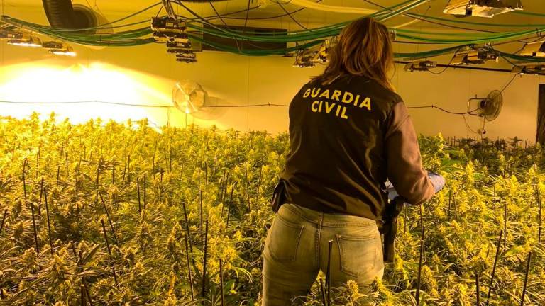 $!Los narcotraficantes realizan un gran gasto energético a la hora de mantener las plantaciones de marihuana. Foto: Guardia Civil