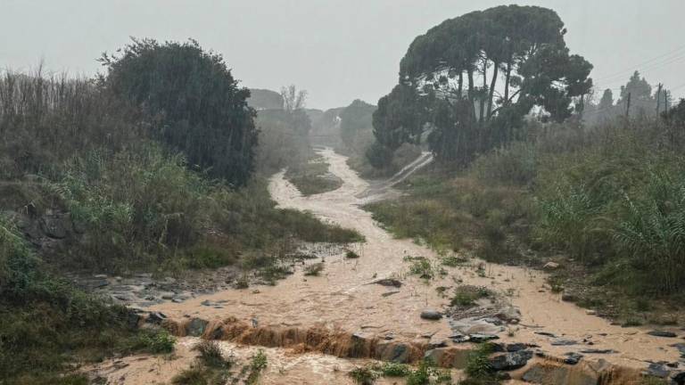 La riera de Maspujols, a su paso por Riudoms. Foto: Alba Mariné