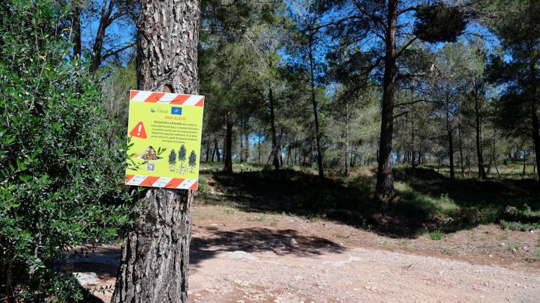 Indicacions del projecte de silvopastoralisme en una zona dels Boscos d’Aiguamúrcia. Foto: Roser Urgell