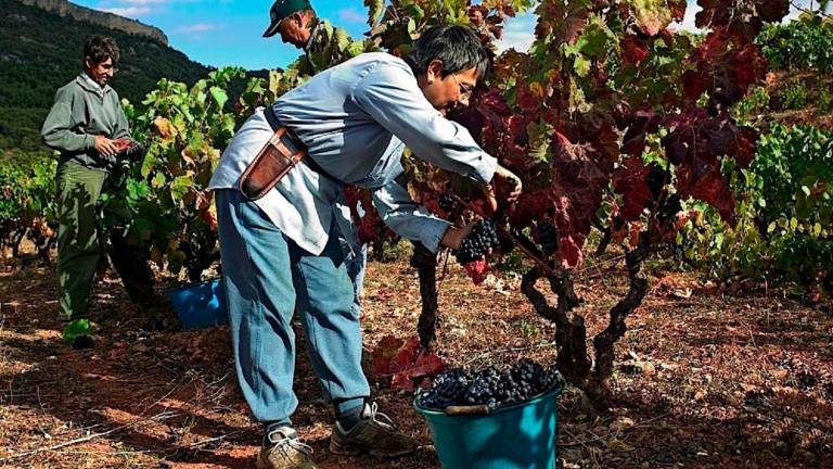 $!Las 15 bodegas del Priorat que debes visitar, según National Geographic