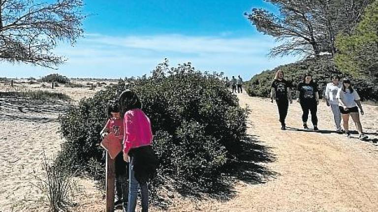 $!‘Viaje a l’Infant’, una ruta con la bandera de Sendero Azul que une las playas del Arenal y del Torn. FOTO: cedida