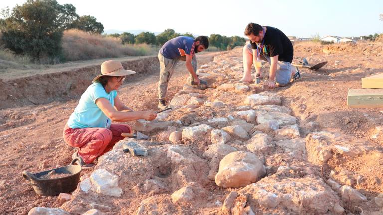 Els voluntaris netejant la cresta d’una de les muralles de la ciutat ibera de Banyeres. Foto: Roser Urgell