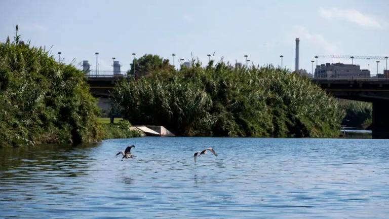 El sábado pasado se detectó el virus en la depuradora del Besòs. Foto: EFE