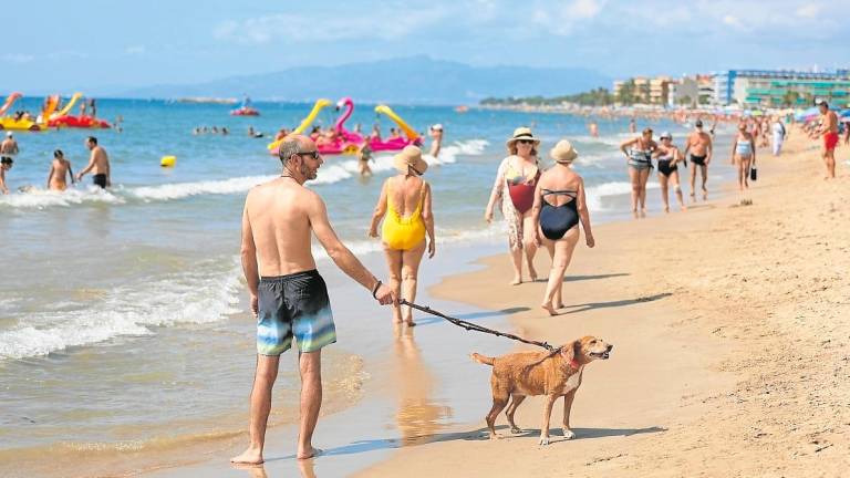 El espacio para perros en la playa de Ponent de Salou se inauguró el pasado junio. foto: Alba Mariné