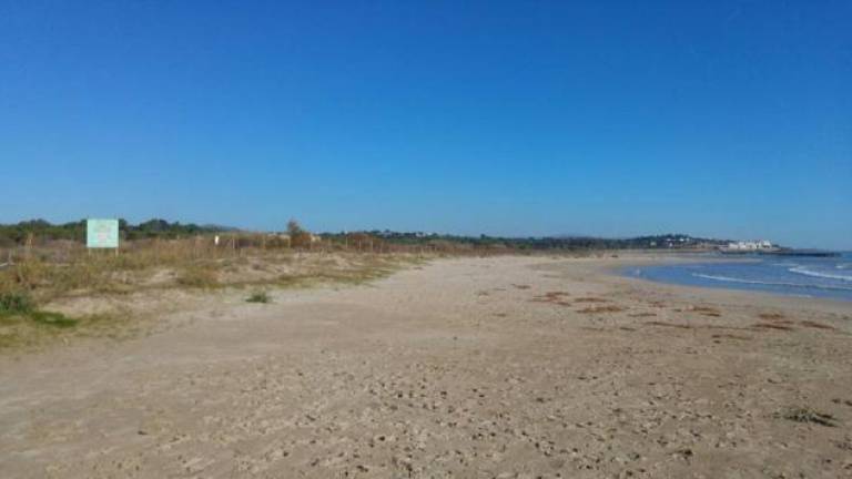 La Platja Llarga de Vilanova.