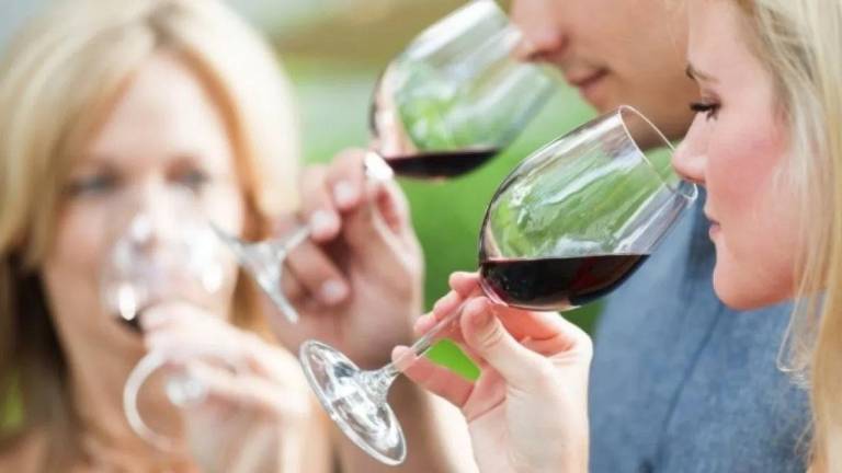 El olfato le ayudará a detectar los defectos del vino. Foto: Pinterest