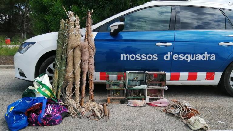 El material i els ocells requisats pels agentes a l’Aldea. FOTO: MOSSOS D’ESQUADRA